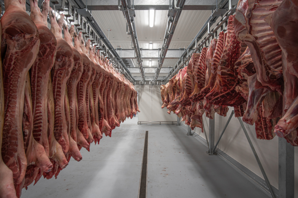 Meat Processing Enzymes